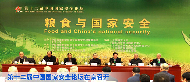 中国政策科学研究会国家安全政策委员会