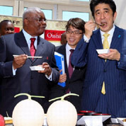 安倍访莫开大单