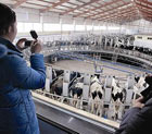 荷兰科技兴农:1人可为100头奶牛挤奶