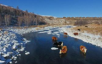 严寒中的“不冻河”