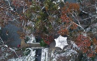 雪后岳麓景如画