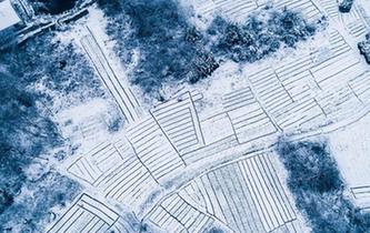 浙江浦江雪后银装素裹