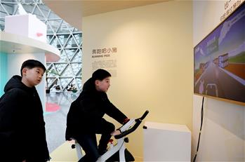 上海科技館舉行豬年生肖特展