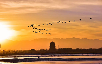 你想看的风景，这里都有