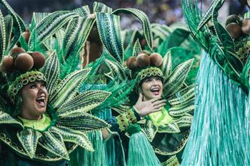 巴西聖保羅狂歡節正式開幕