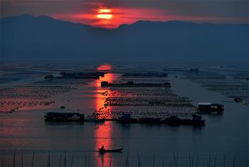 霞浦风光美如画