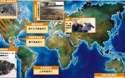 动物“集体自杀”蔓延全球 网友称2012先兆(图)