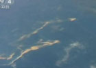 越南飞机在失联海域搜索 发现油迹带