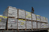 大批救援物资运抵加沙【高清组图】