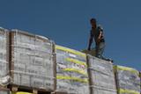 大批救援物资运抵加沙（组图）