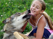 俄罗斯少女与狼亲密无间 狼被驯化似宠物