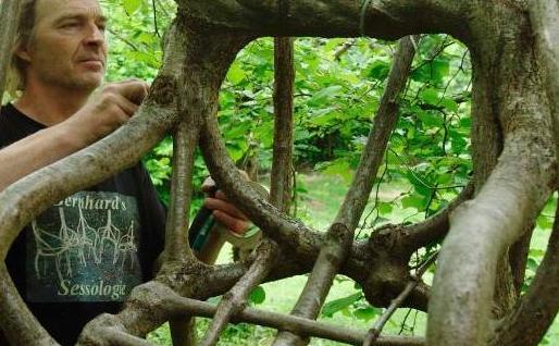 奥地利艺术家创造自然生长木椅