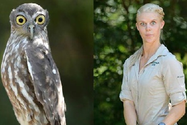 脑洞大开！澳大利亚饲养员模仿动物大赛