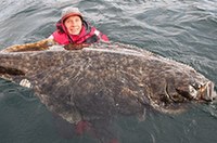 瑞典男子捕获巨型比目鱼（高清）