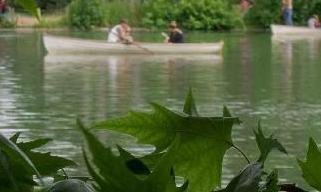 初夏巴黎（高清）