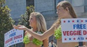 美国：美女穿&ldquo;蔬菜比基尼&rdquo;倡导素食