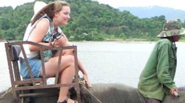 越南大象疲于&ldquo;工作&rdquo; 无力繁衍后代