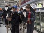 英国农民牵奶牛进超市 抗议奶价下跌【组图】