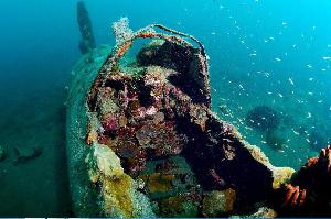 日媒公布日本二战零式舰载战斗机海底沉没照（高清组图）