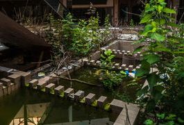 美&ldquo;幽灵购物中心&rdquo;关门7年植物丛生(组图)