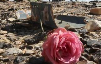 外媒：俄客机或因爆炸坠毁 英推迟自埃及起飞航班