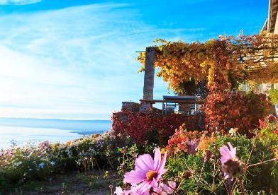 瑞士拉沃之秋（高清）