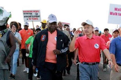 野生动物保护活动&ldquo;为大象奔走&rdquo;