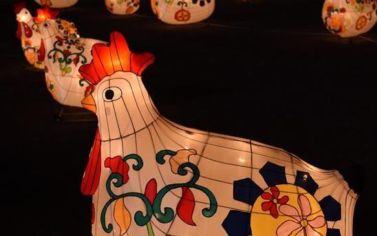 雄鸡彩灯贺新春