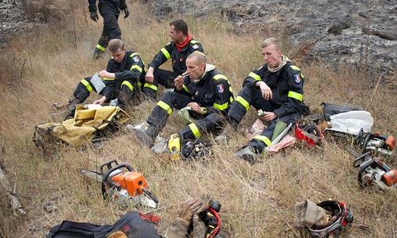 森林大火得到控制 智利解除紧急状态