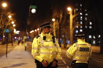 英國議會大廈附近發生恐怖襲擊事件致5人死亡（組圖）