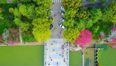 航拍三峡大学&ldquo;桃花朵朵开&rdquo;游人如织