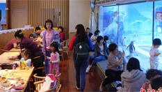 北京企鹅餐厅童趣盎然 生意火爆