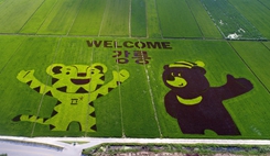 韩国统一部说朝鲜同意９日举行韩朝高级别会谈