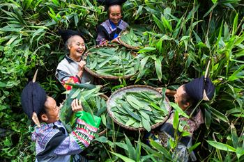 &ldquo;粽&rdquo;情端午