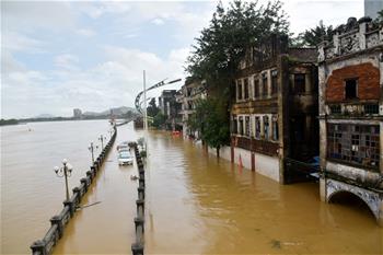 廣東陽春部分街道房屋被洪水浸泡