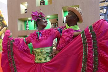 异国风情 汇集进博