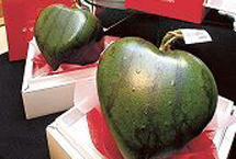 日本心形西瓜高价上市 母亲节商战日渐白热化