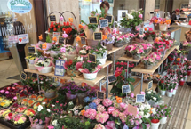 日本在&ldquo;善待母亲&rdquo;国别排行榜中居32位