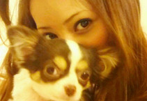 中外明星的宠物情缘 明星与萌宠谁更抢镜