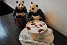 东京有个“熊猫咖啡店”
