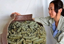 日本出土4万枚古钱 包括开元通宝等中国古币(图)