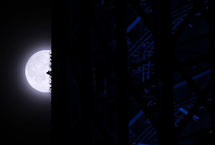 超级圆月悬夜空 世界多地赏美景
