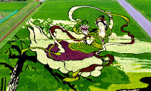 日本稻田种出仙女图案 栩栩如生唯美动人(组图)