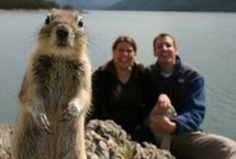 超搞笑！日媒盘点世界各地抢镜的动物们（图）