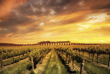 全球最宜居10大城市 亚洲城市榜上无名