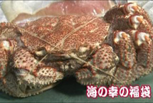 日本北海道新年福袋装毛蟹 30分钟内被抢购一空