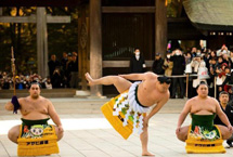 日本相扑表演迎接新年到来
