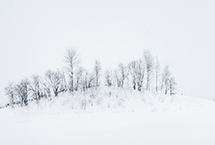 冬之北海道 如水墨画般空灵隽永【高清】