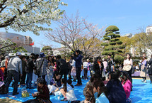 中国驻日长崎总领馆举办庆祝建馆30周年赏樱会