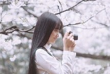 客问赏樱何处去？中日韩绝佳景点推荐